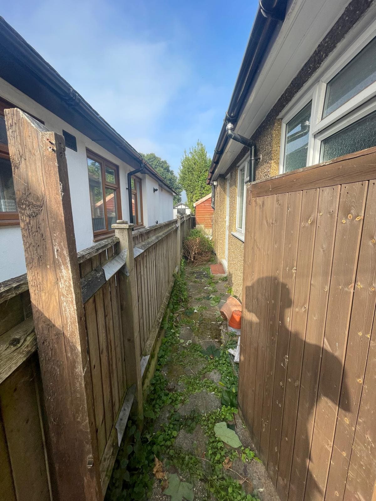 Driveway and border garden after full maintenance.
